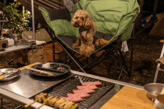 ワンちゃんとBBQ