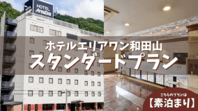 スタンダードプラン