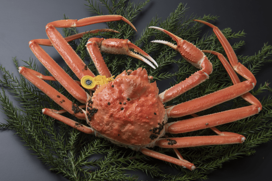 福井県が誇るブランド蟹「越前がに」。繊細な身の甘さ、濃厚な蟹味噌は絶品です！