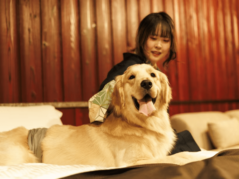 ワンちゃんとベッドで添い寝も可能！