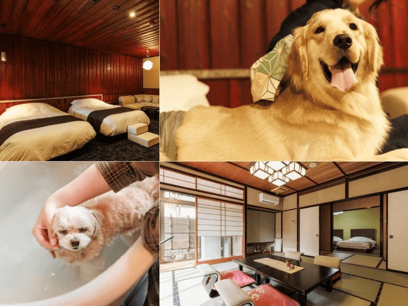 くつろぎのお部屋で、ワンちゃんとゆったり。