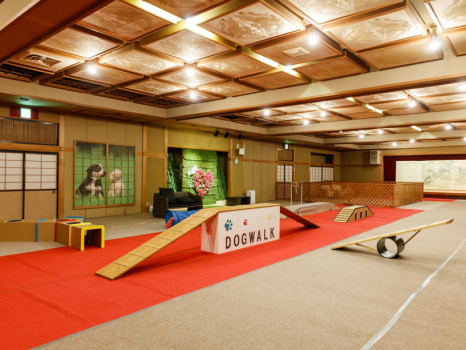 屋内ドッグラン。冷暖房完備、250畳の広々とした空間♪
