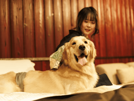 ワンちゃんとベッドで添い寝も可能！