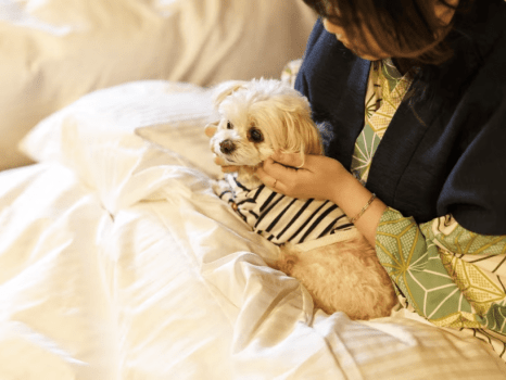 ワンちゃんも一緒にごゆっくりお過ごしください。