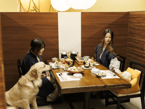 お食事場所は愛犬も同伴OK！周りが気にならない半個室型です。