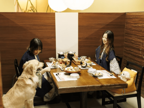 お食事場所は愛犬も同伴OK!周りが気にならない半個室型です。 お食事場所は愛犬も同伴OK!周りが気にならない半個室型です。