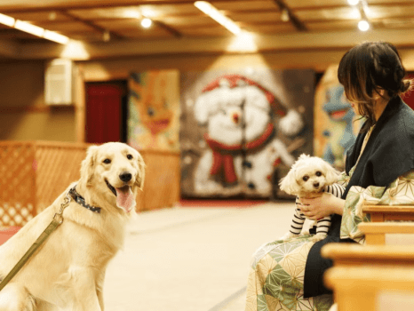 屋内ドッグランには小型犬ゾーンもございます。飼い主様は、愛犬から目を離さないようにご利用ください。