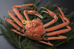 福井県が誇るブランド蟹「越前がに」。繊細な身の甘さ、濃厚な蟹味噌は絶品です！