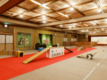 屋内ドッグラン。冷暖房完備、250畳の広々とした空間♪