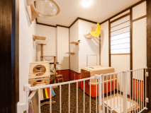 猫ちゃん＆ワンちゃんOK！ルーム（ベッド付き和洋室）