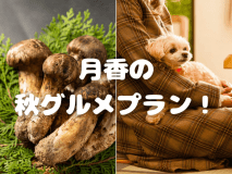 松茸と若狭牛のコラボレーションをお楽しみください！
