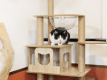 ワンニャンルームにはキャットタワー完備！