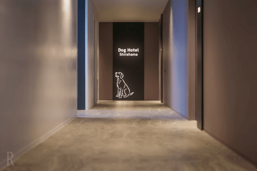 愛犬と一緒に過ごす贅沢な白浜ステイ＜素泊まり＞