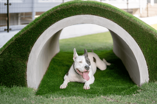 愛犬と一緒に過ごす贅沢な白浜ステイ＜素泊まり＞