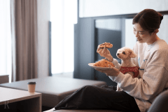 ドッグスイートガーデンビュー／DOG　SUITE　GARDEN　VIEW