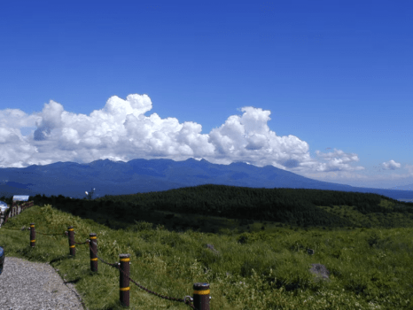 ビーナスライン景色★夏。入道雲と青々した空の下を窓を開けてドライブするのは気持ちいいですね。