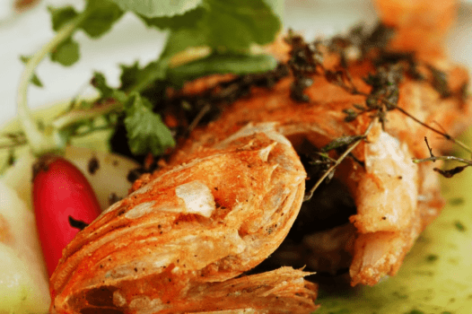 ディナーのフレンチ：お魚料理の一例。写真はカサゴのアクアパッツア。魚介の出汁がしっかりとスープでのどを潤す。美味しいです。。