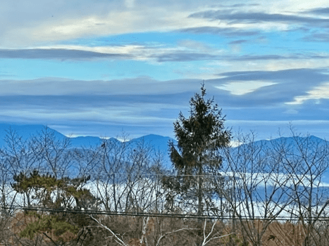 冬の景色です。テラスや縁側から、朝方ながめると。。。自然の幻想的な景色を楽しめます