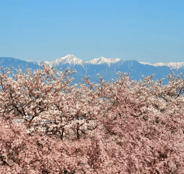 周辺施設「松本・弘法山古墳」の写真です。春の桜、秋の紅葉の名スポット！古墳時代、紀元3世紀後半の規模の大きな前方後方墳で北アルプスを一望できます