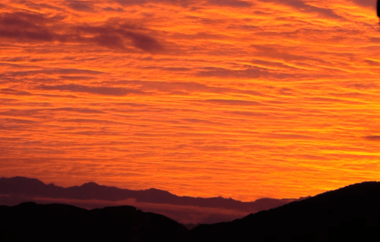 【本館】NEW和洋室テラス付き