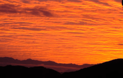【本館】NEW和洋室テラス付き