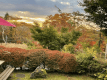紅葉は例年９月の中旬から始まります。2025年は10月中旬頃から始まりの予想です。