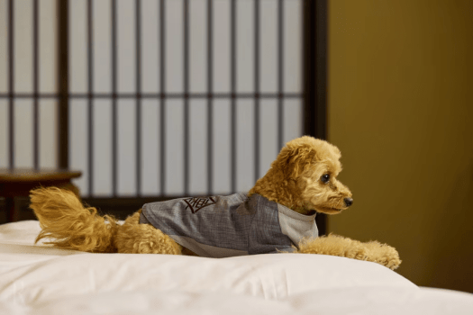 ＜季節の創作和食コース＞ 赤城山の大地を食す、基本プラン (一泊二食)