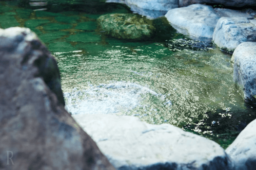 ＜季節の創作和食コース＞ 赤城山の大地を食す、基本プラン (一泊二食)