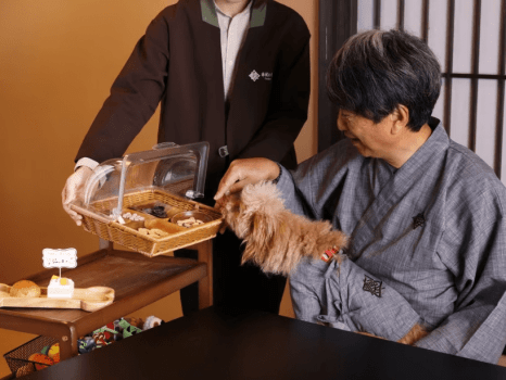 愛犬の記念日プラン 愛犬の記念日プラン