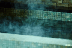 半露天・愛犬専用風呂付【離れ特別和室】ツインベッド45平米