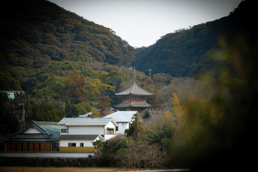 ■周辺■然豊かな景色が自慢!太山寺を一望 ■周辺■然豊かな景色が自慢!太山寺を一望