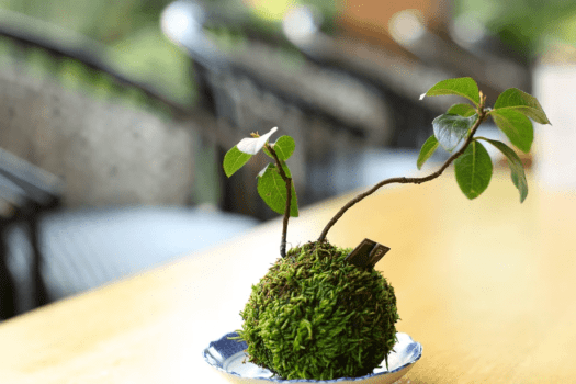 【本館1階】ロビーラウンジ