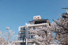 さくら温泉通りのソメイヨシノと当館（桜の開花は例年3月下旬頃です・画像は4月始めに撮影）