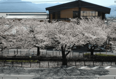 東館客室からの眺め（一例）※ご覧いただける景色はお部屋の位置、階層により異なります