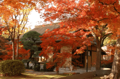 【八田家書院の紅葉】当館より徒歩約１０分。秋の紅葉、夏の菖蒲や蓮の花が咲く頃もおすすめです。