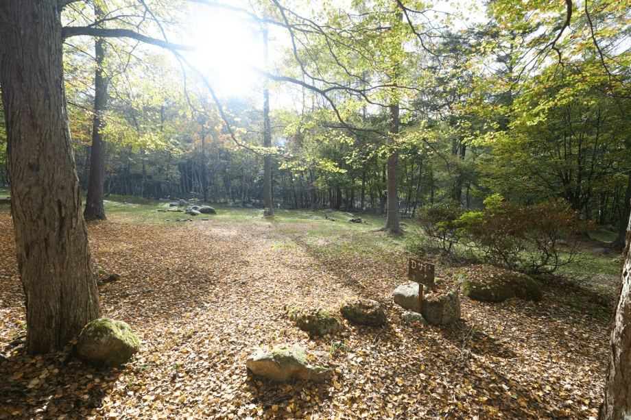 オートキャンプサイト【ふれあいの森】
