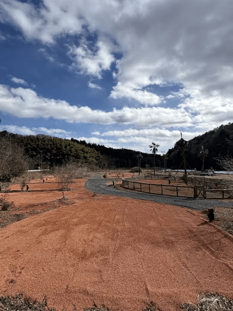 SOUTH CAMPエリア　ペットOK