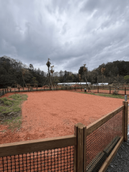 SOUTH CAMP １0　(柵付きドッグランサイト）