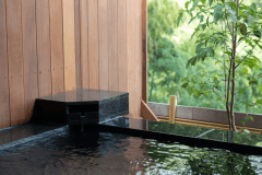 201 こちょう kochou