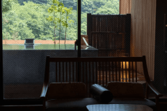 302 さわらび sawarabi