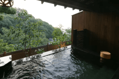 302 さわらび sawarabi