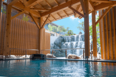 滝見露天風呂（女湯）