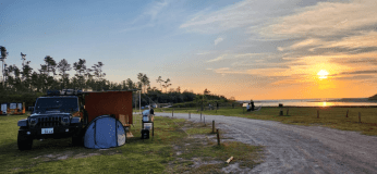 デイキャンプ【フリーサイト】