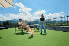 ドッグフレンドリー ツイン