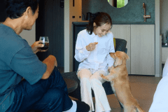 スタンダードプラン【素泊まり】愛犬と過ごす特別な休日 ｜edit x seven