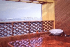 露天風呂付き客室（天然温泉・源泉掛け流し）