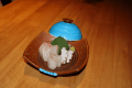 旬の魚貝類の盛り合わせ 旬の魚貝類の盛り合わせ