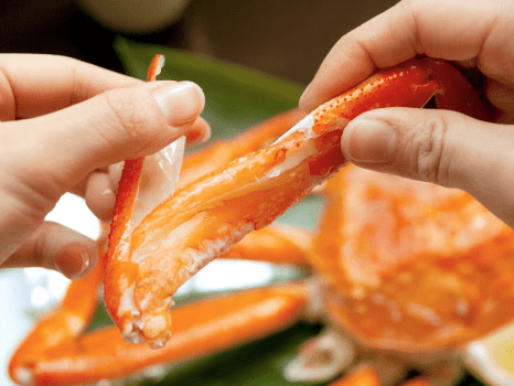 <冬の味覚>お一人様にズワイガニ一杯付き!温泉×蟹を満喫する冬旅/冬の醍醐味を求め山中温泉へ <冬の味覚>お一人様にズワイガニ一杯付き!温泉×蟹を満喫する冬旅/冬の醍醐味を求め山中温泉へ