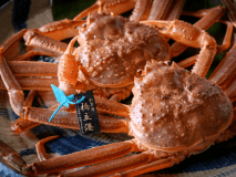 ＜冬の味覚＞水色のタグは本物の証！極上の逸品「加能ガニ」一杯付き会席／温泉&times;蟹 で至福のひと時を&hellip;