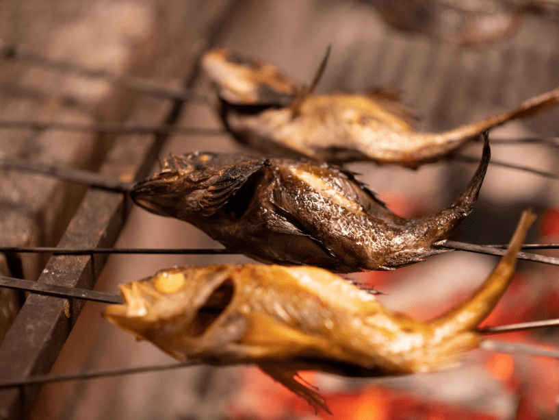 鰺ヶ沢温泉 水軍の宿 プランから選ぶ 鯵ヶ沢の地魚を堪能 選べる鮮魚の 炭火焼き と 舟盛りのお造り を味わう 竹御膳